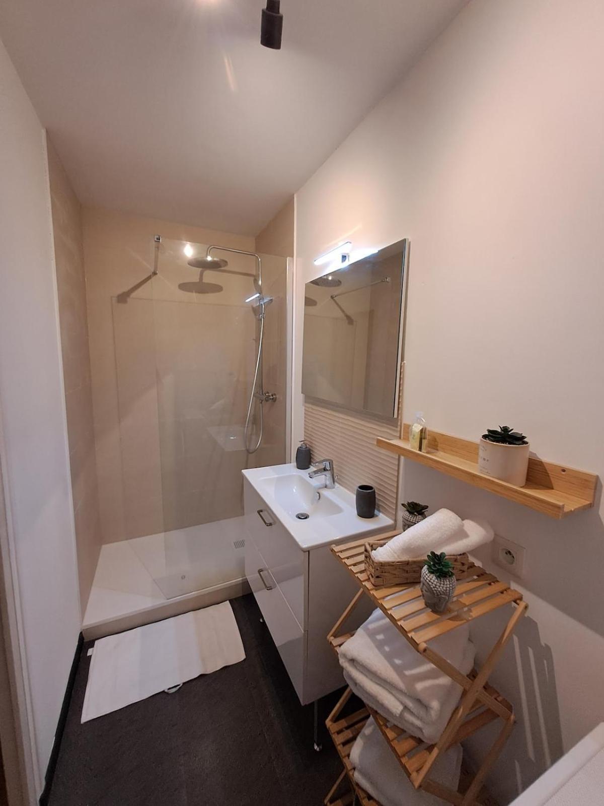 Apartment Le D'lices, Spacieux, Centre-ville, Free Parking *